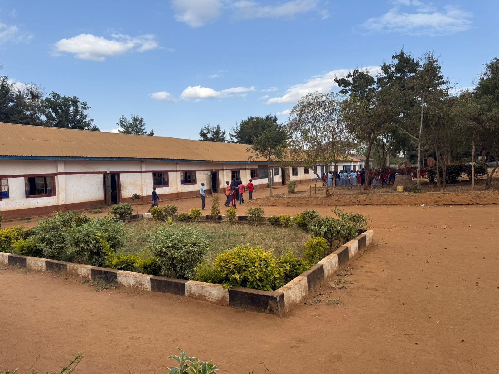Library construction